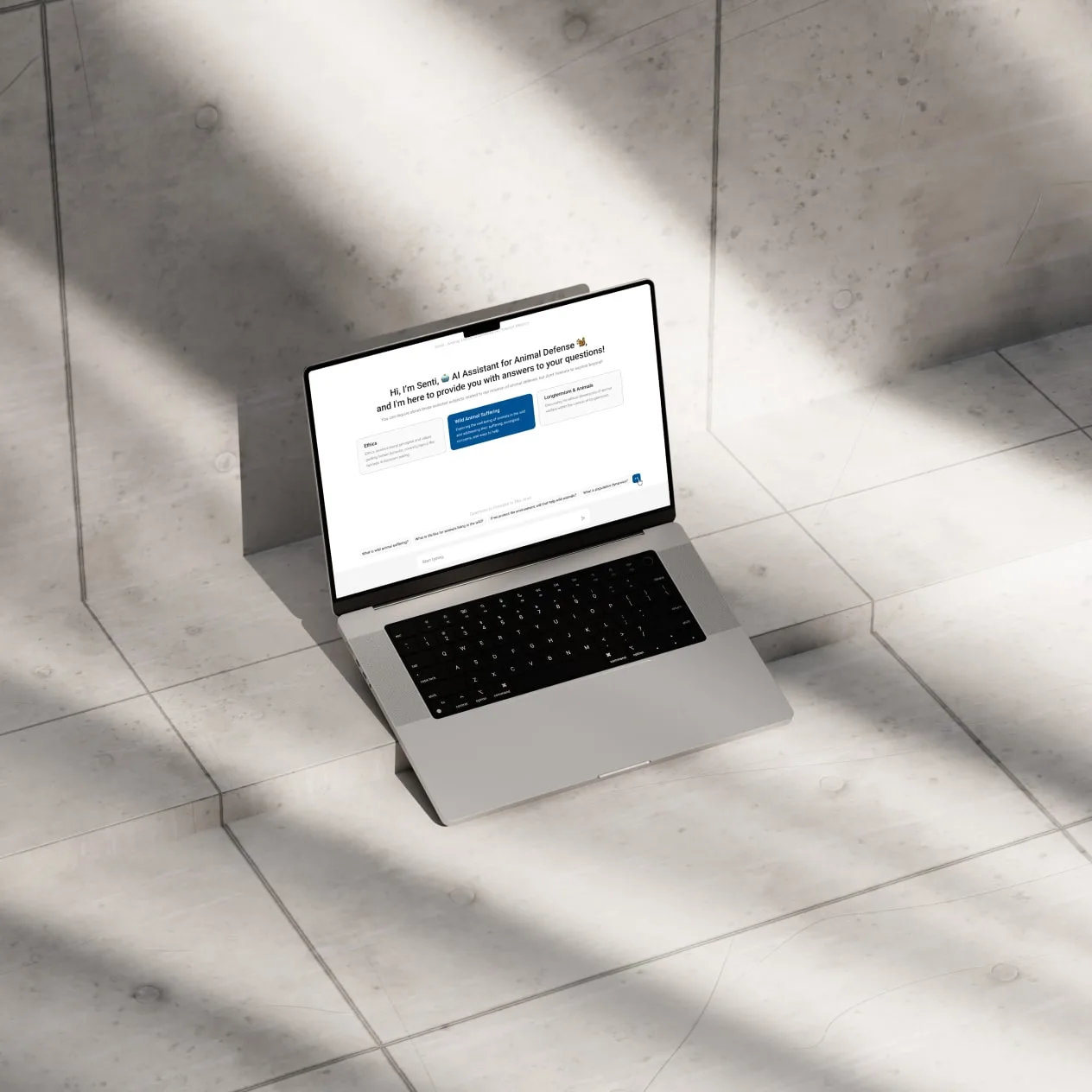 The welcome screen on a laptop: 3 topic cards above a row of suggested questions